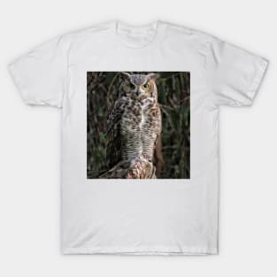 I'm watching you 👀 T-Shirt